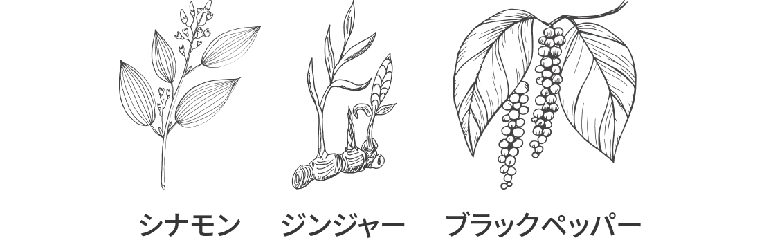 シナモン、ジンジャー、ブラックペッパー
