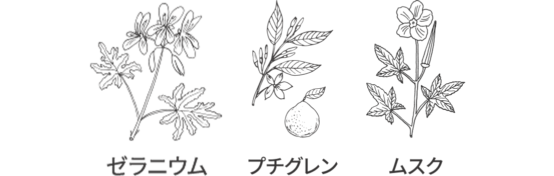 ゼラニウム、プチグレン