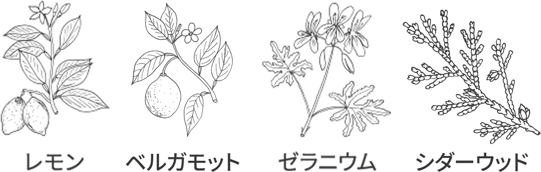 レモン、ベルガモット、シダーウッド
