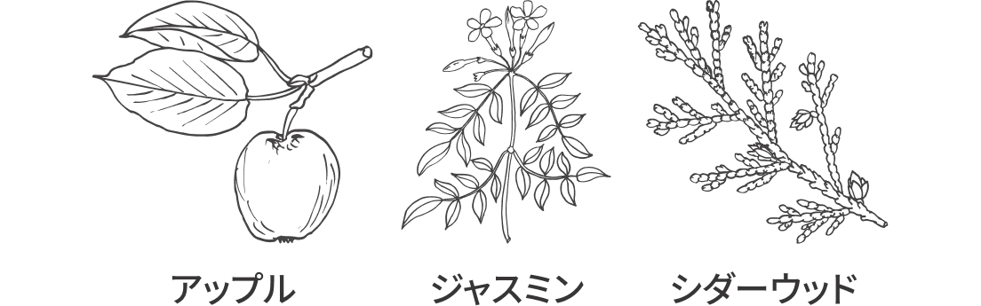 アップル、ジャスミン