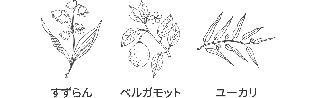 すずらん、ベルガモット、ユーカリ