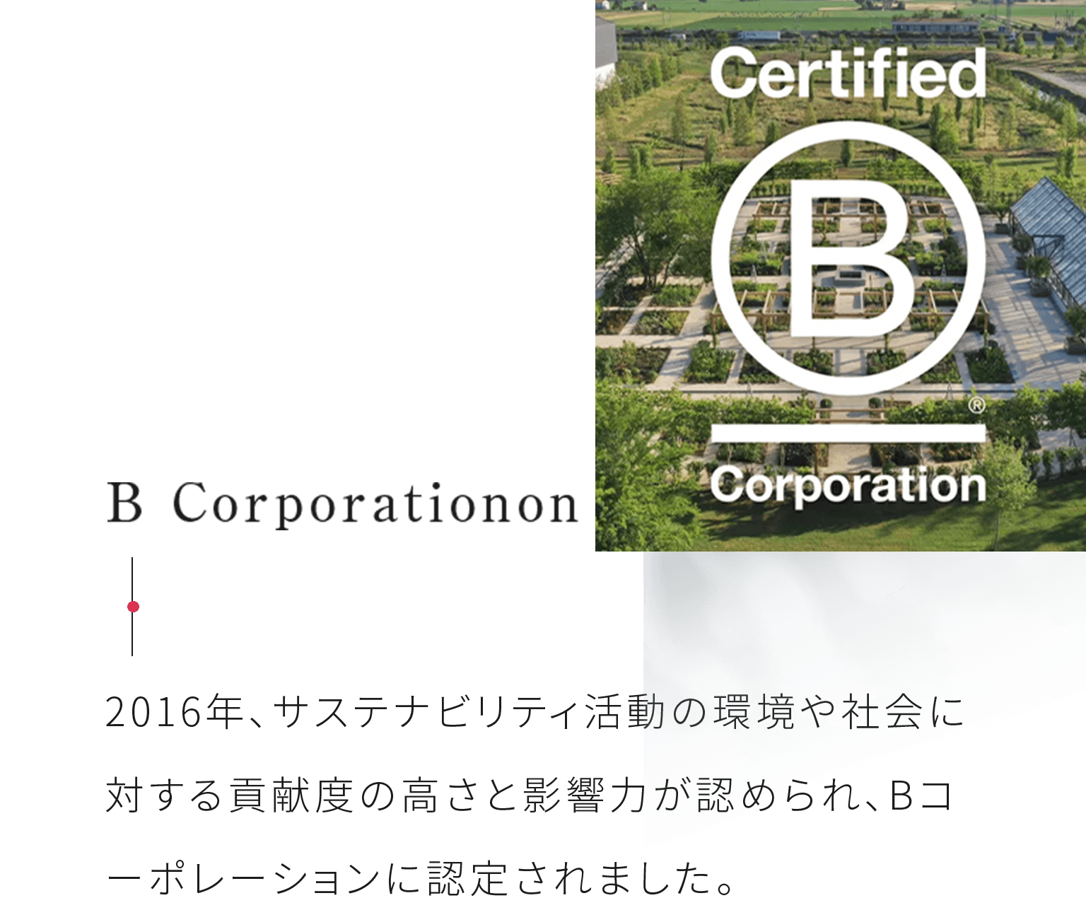 B Corporationon