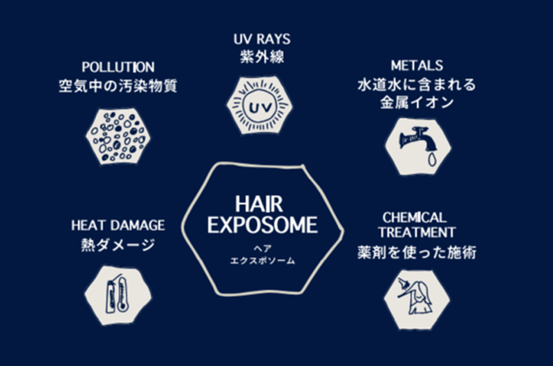 水に含まれる金属イオンに着目した科学的アプローチ