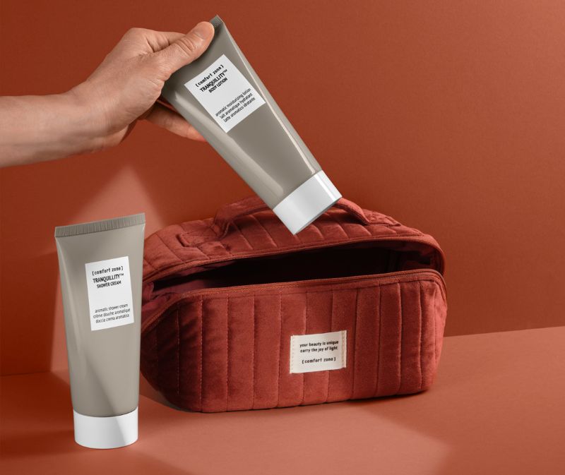 THE BODY SKIN RITUAL 限定ポーチと内容品