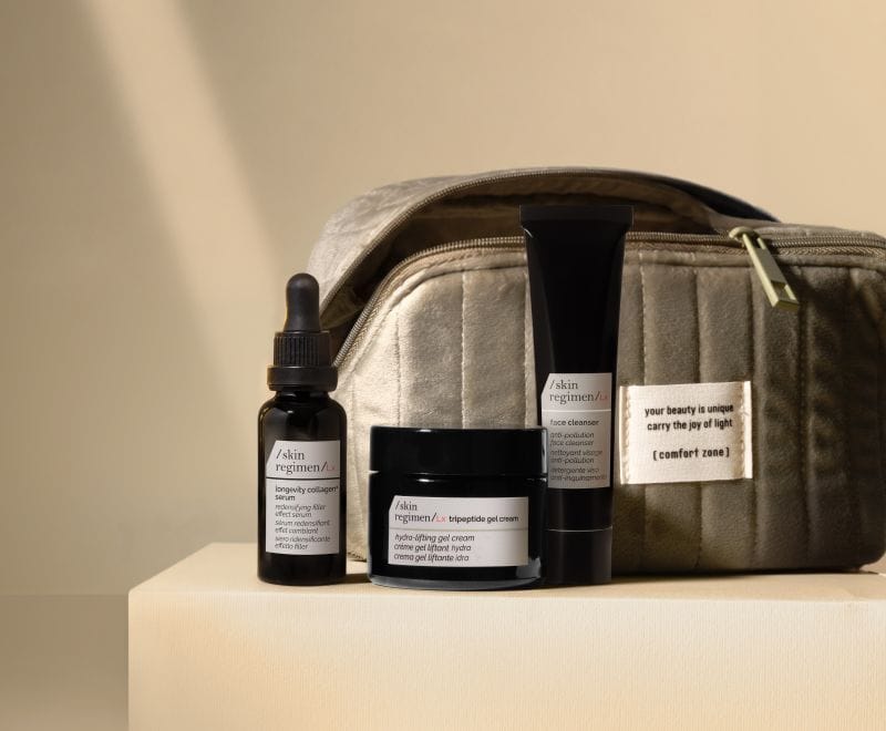 THE SKIN REGIMEN RITUAL 限定ポーチと内容品