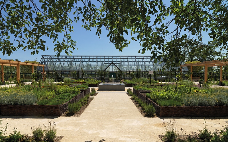 ダヴィネスビレッジ