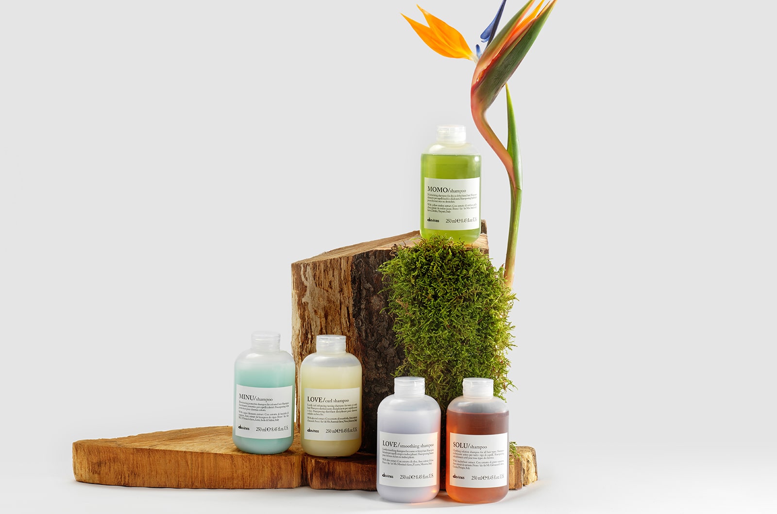 ダヴィネス商品の画像