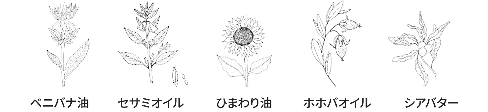 オーガニック由来のセサミオイル、ひまわり油、ホホバオイル、シアバター