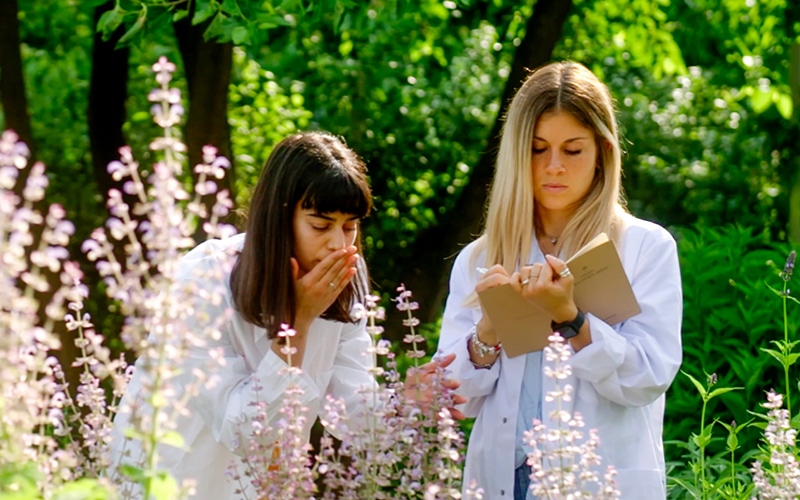 ダヴィネスビレッジ