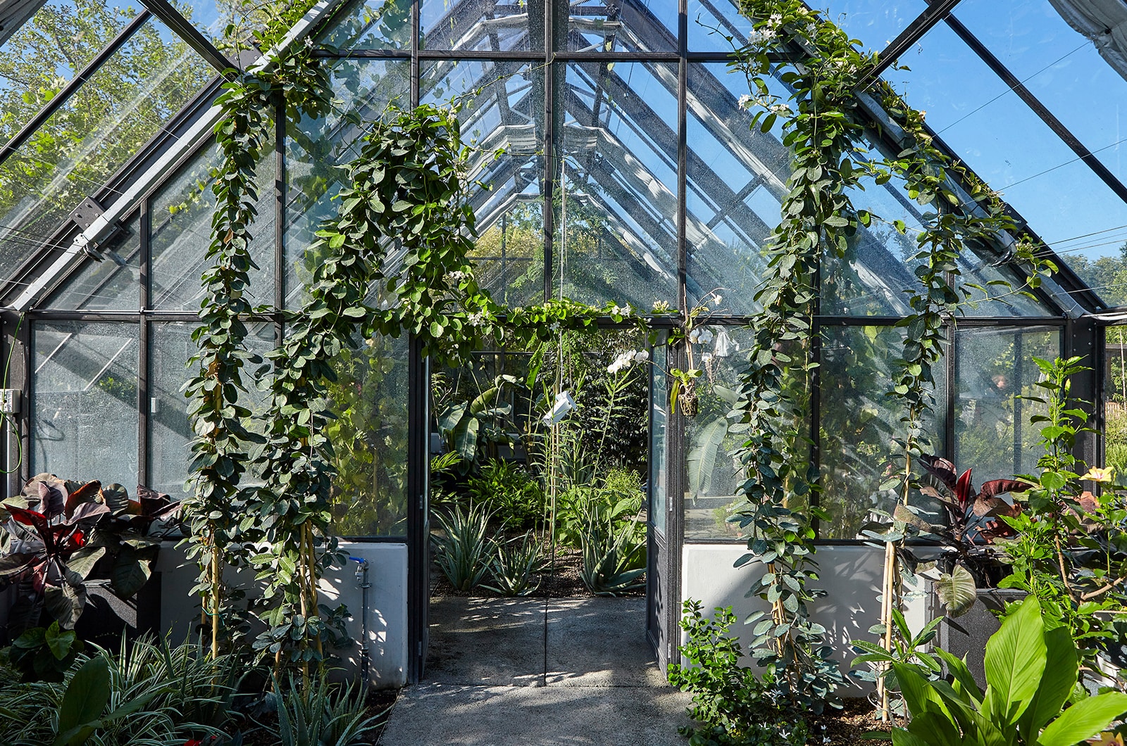 ダヴィネスビレッジ