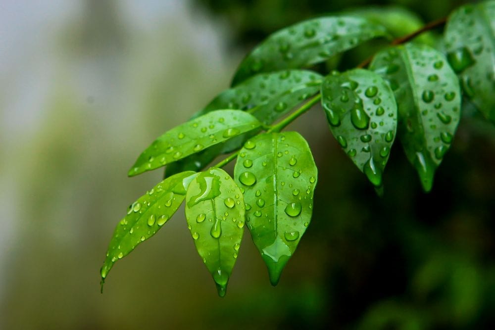 梅雨前のケアが、差をつける
