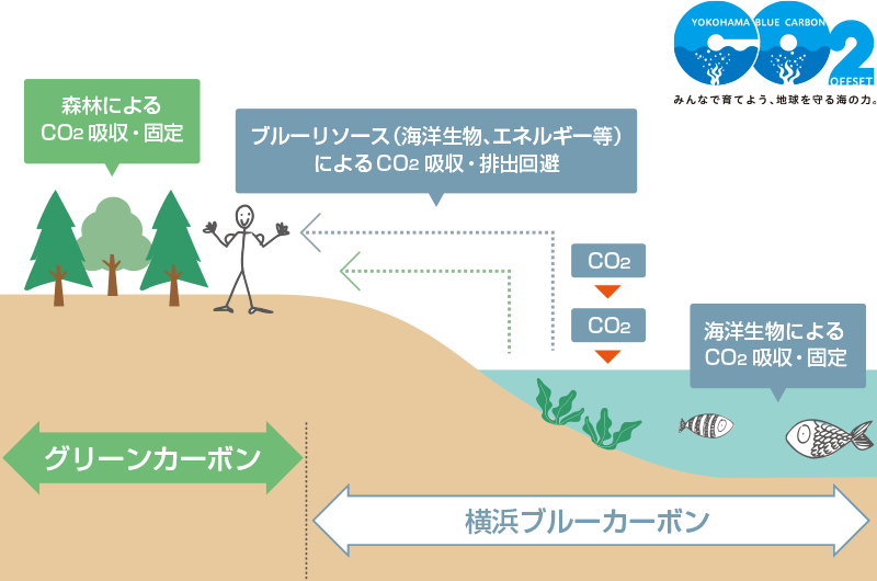 ブルーカーボンオフセット