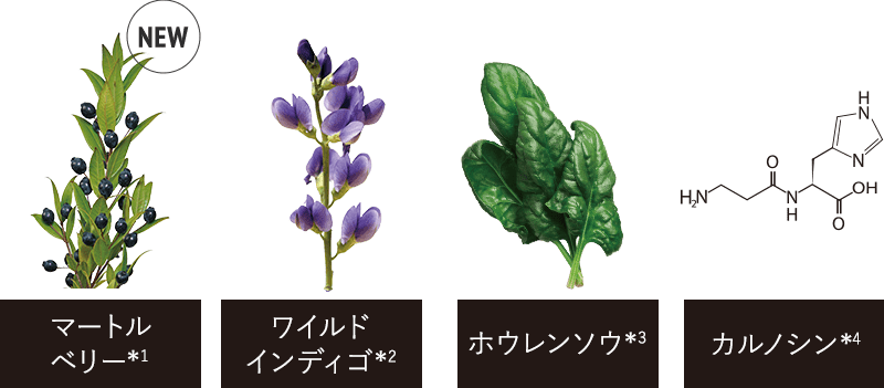 コンフォートゾーン/スキンレギメン｜ダヴィネス / コンフォート