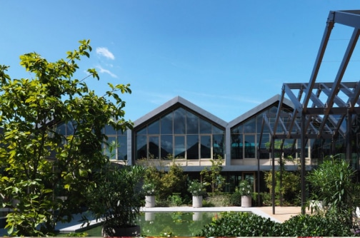 コンフォートゾーンについて