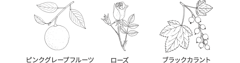 タイム、松、レモン、ローズ、ゼラニウムの葉