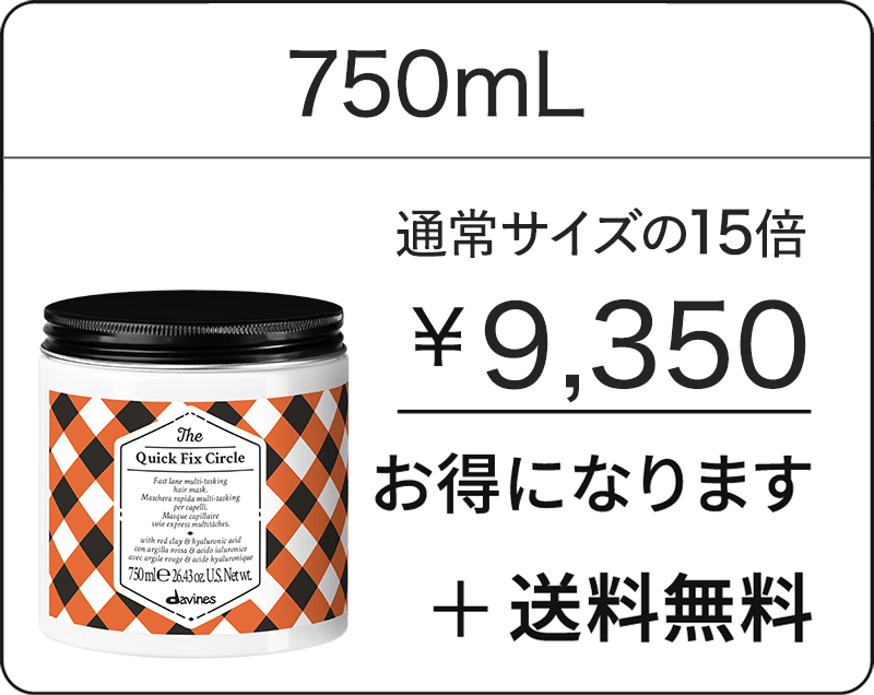サークルクロニクルズ　クイックフィックス　サークル　プロ
