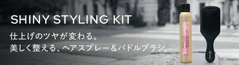ダヴィネス　シャイニースタイリング　キット