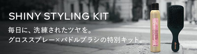 ダヴィネス　シャイニースタイリング　キット