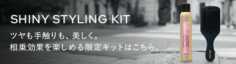 ダヴィネス　シャイニースタイリング　キット