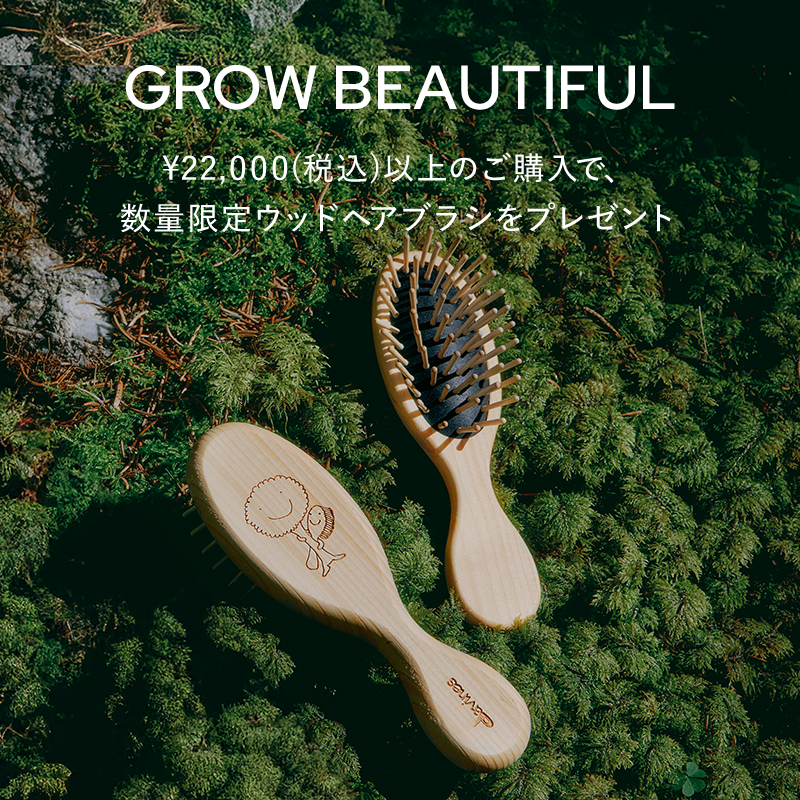ヘアブラシプレゼント