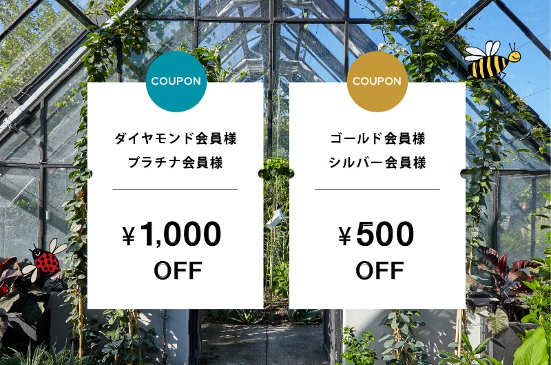 会員様限定クーポンのご案内