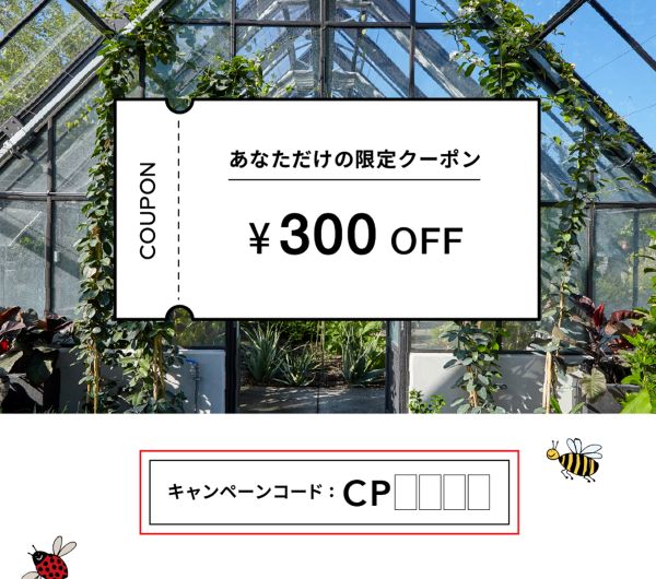 キャンペーンコード入力について（5,000円以上　手順2）