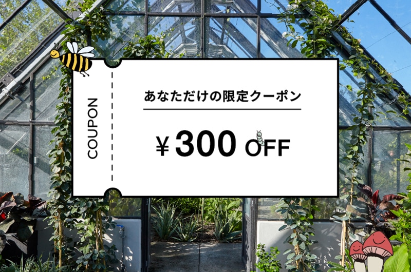 【LINE限定】ダヴィネスを選び続けてくれている、あなたへ